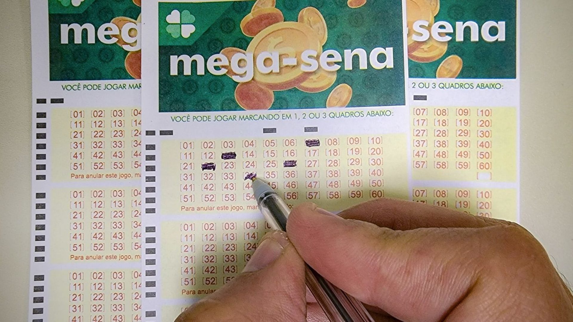 Mega-Sena acumula e próximo prêmio está estimado em R$ 100 milhões