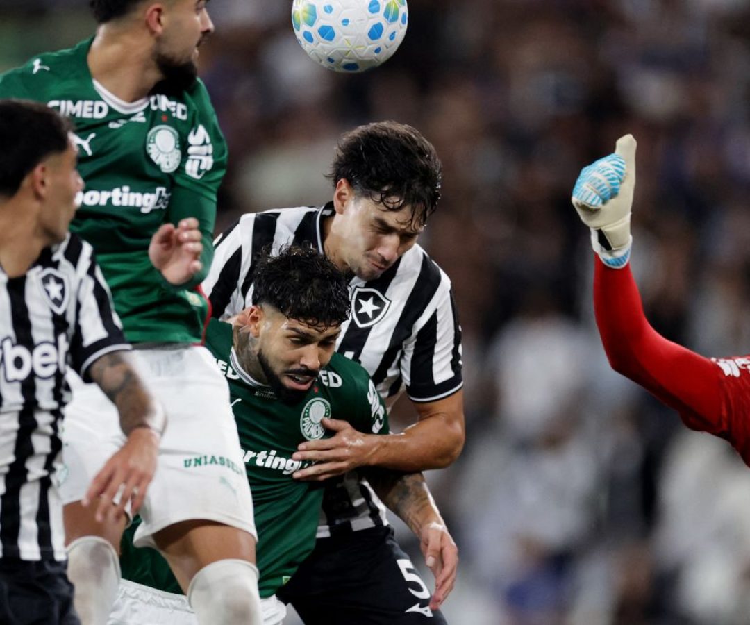 Botafogo segura Palmeiras e ajuda Flamengo, novo líder do Brasileirão