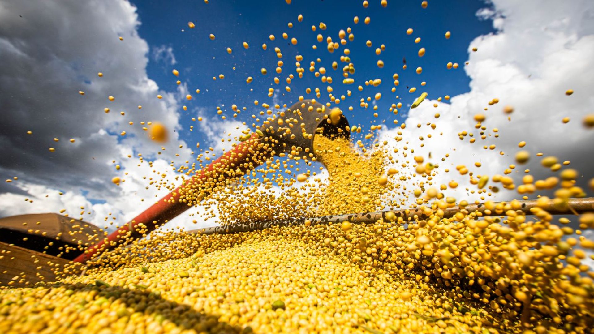 Produção agrícola brasileira superou R$ 927 bilhões em 2025