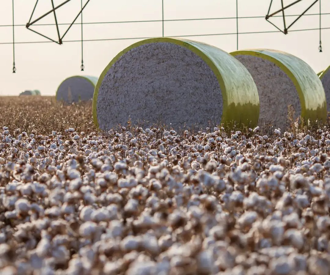 Entenda mudança no mapa que tirou Sorriso do topo da produção agrícola