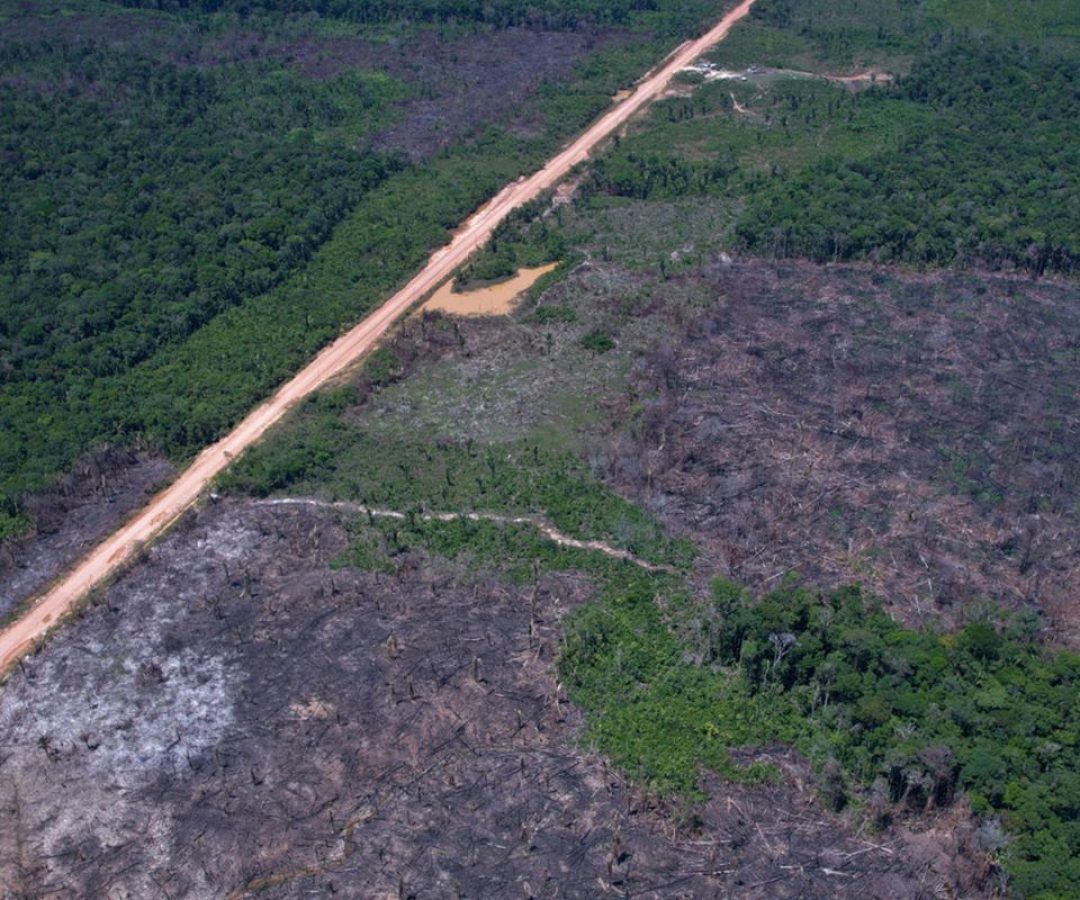 Eco Invest Brasil promove quinto leilão para financiar inovação