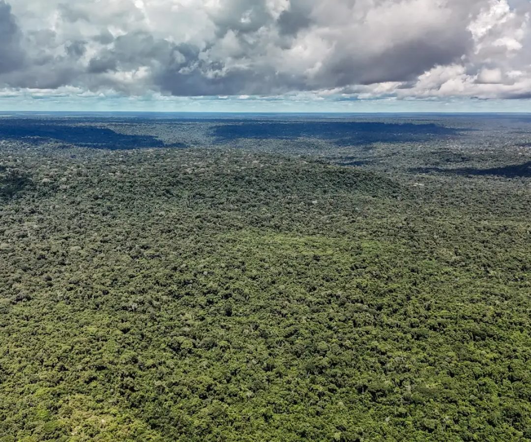 Fazenda autoriza crédito de US$ 1 bilhão do BID para Eco Invest Brasil