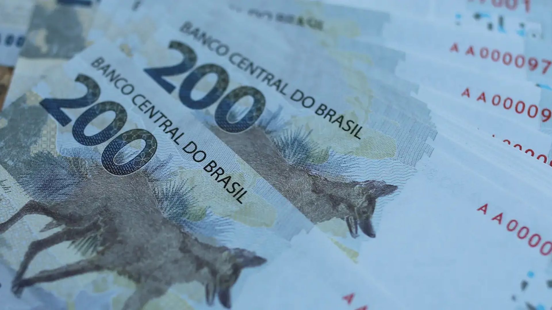Vendas do Tesouro Direto atingem segundo melhor resultado da história