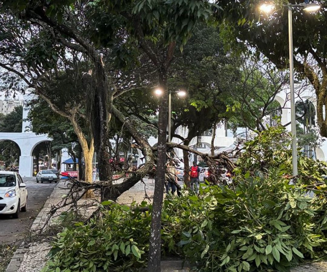 Ventania causa apagão e paralisa transportes no Rio de Janeiro
